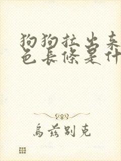 狗狗拉出来的白色长条是什么虫