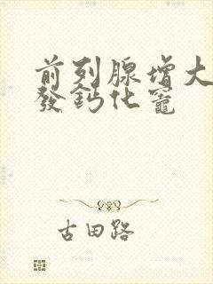 前列腺增大伴多发钙化灶