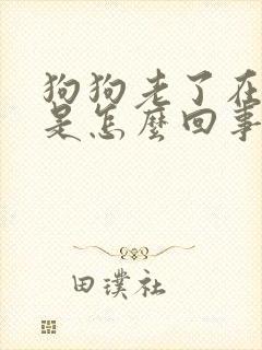 狗狗老了在家尿是怎么回事