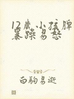 12岁小孩脾气暴躁易怒