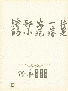 腰部出一片密集的小疙瘩是怎么回事