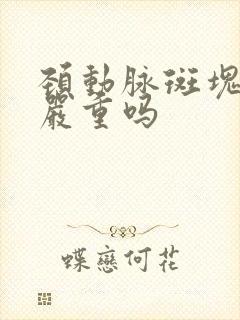 颈动脉斑块2级严重吗