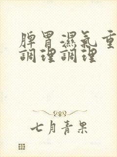 脾胃湿气重怎么调理调理