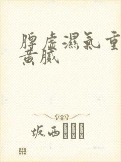 脾虚湿气重舌苔黄腻