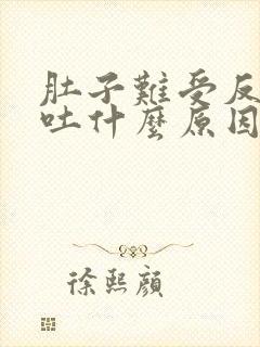 肚子难受反胃想吐什么原因