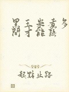 黑玉米煮多长时间才能熟