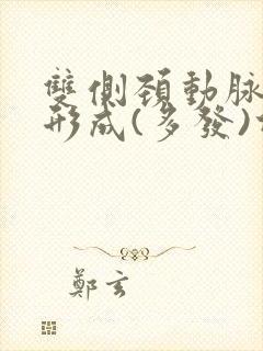 双侧颈动脉斑块形成(多发)什么意思