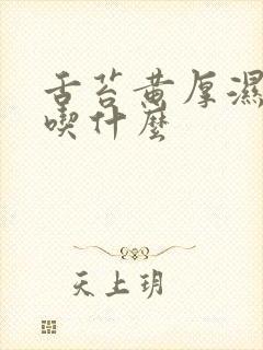 舌苔黄厚湿气重吃什么