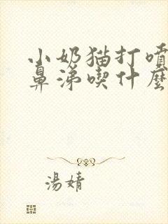 小奶猫打喷嚏流鼻涕吃什么药