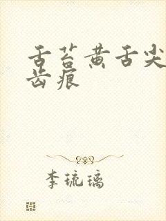 舌苔黄舌尖红有齿痕