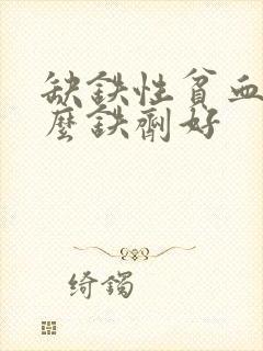 缺铁性贫血补什么铁剂好