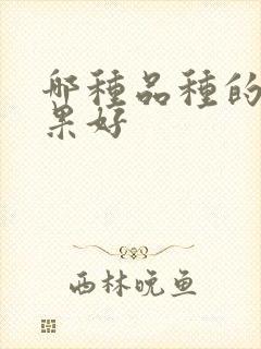 哪种品种的牛油果好