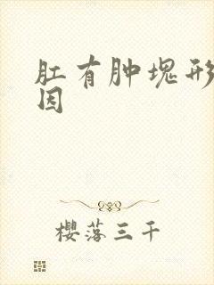 肛有肿块形成原因