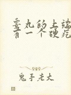 睾丸的上端边缘有一个硬疙瘩