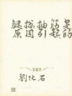 腿总抽筋是什么原因引起的