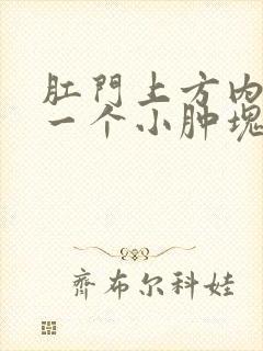 肛门上方内部有一个小肿块 按压疼痛