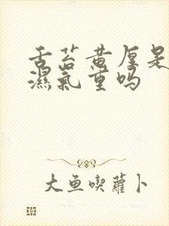 舌苔黄厚是体内湿气重吗