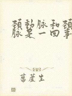 颈动脉和颈内动脉是一回事吗