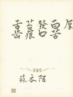 舌苔发白厚腻有齿痕口苦