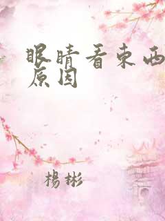 眼睛看东西模糊原因