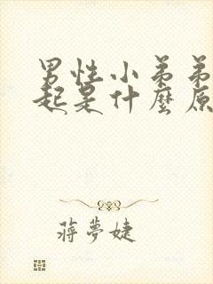 男性小弟弟硬不起是什么原因