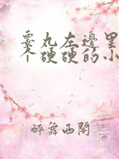 睾丸左边里面有个硬硬的小疙瘩