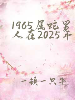 1965属蛇男人在2025年运势