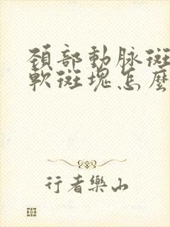 颈部动脉斑块是软斑块怎么办