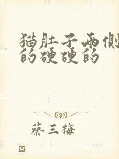 猫肚子两侧鼓鼓的硬硬的