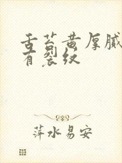 舌苔黄厚腻中间有裂纹