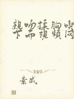 亲吻揉胸吃奶摸下面视频网站