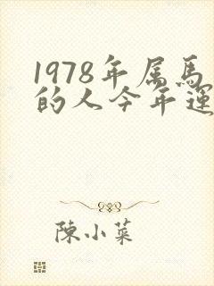 1978年属马的人今年运气怎么样