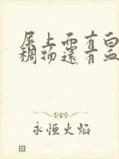 屎上面有白色粘稠物还有血丝