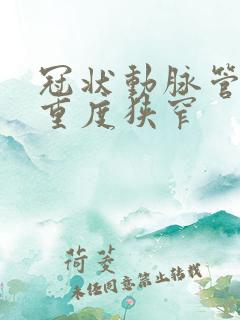 冠状动脉管腔中重度狭窄