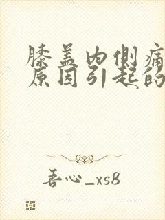 膝盖内侧痛什么原因引起的