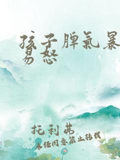 孩子脾气暴躁的易怒