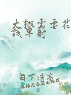 大概需要花多少钱早射