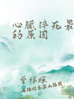 心脏猝死最主要的原因