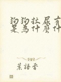 狗狗拉尿有血块是为什么什么