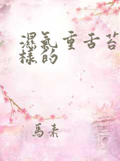 湿气重舌苔是怎样的