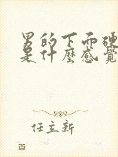 男的下面硬起来是什么感觉