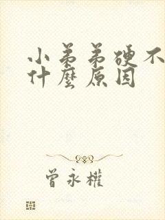 小弟弟硬不起了什么原因