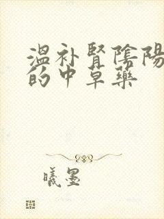 温补肾阴阳两虚的中草药