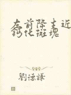 左前降支近段非钙化斑块