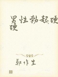 男性勃起硬度不硬