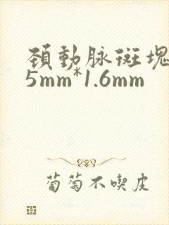 颈动脉斑块5.5mm*1.6mm