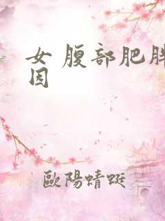 女 腹部肥胖原因