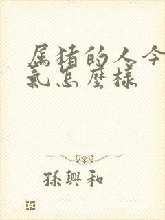 属猪的人今年运气怎么样