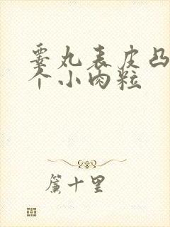 睾丸表皮凸起一个小肉粒