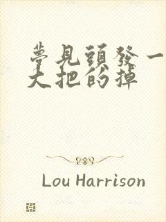 梦见头发一抓一大把的掉